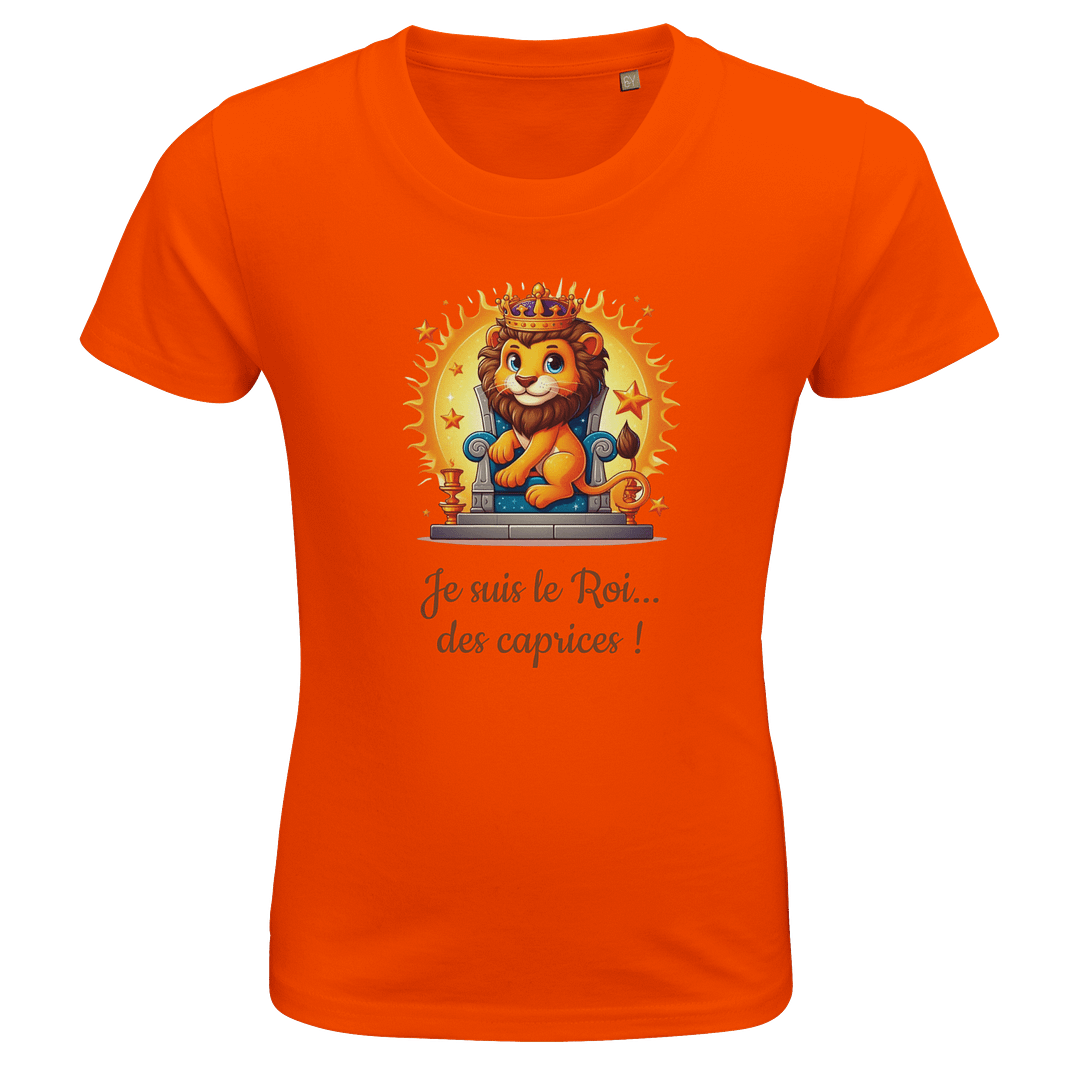 Lion - Petit roi rayonnant – Image 10